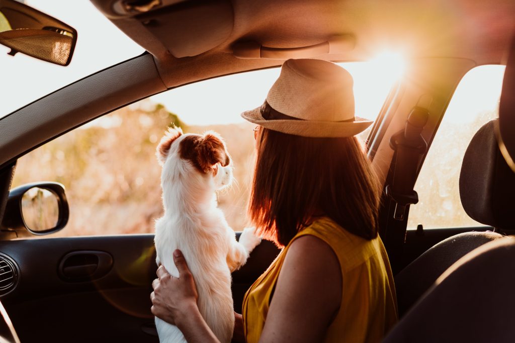 majitel psa a domácího mazlíčka při pohledu na okno v autě