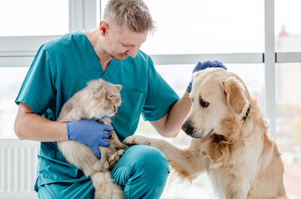 Najít veterinární pracoviště v okolí – Vetfinder 